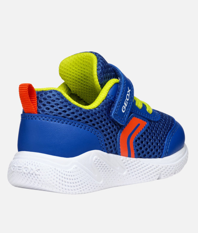 Geox sprintye royal/red