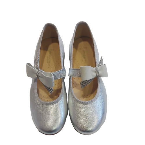 Andanines silver shoe