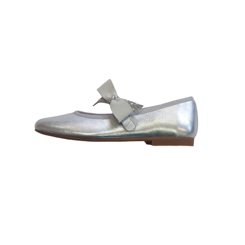 Andanines silver shoe