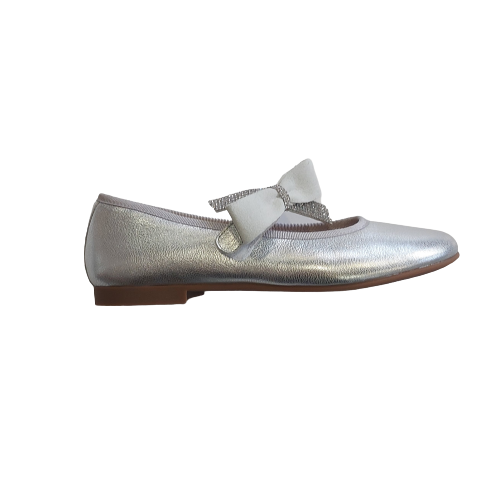 Andanines silver shoe